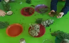 Messenger_creation_B7E0FE8E-24BD-4F15-92F0-0C9A57AEE552