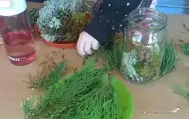 Messenger_creation_196830D0-1E2E-4354-8EDF-687C1A9F61F0