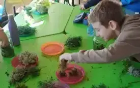 Messenger_creation_A4DEEE19-5599-4F8D-B539-8C53C09B54F3