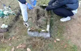 Messenger_creation_8AB92A6A-4C23-46A1-954C-518BD27BF1A1