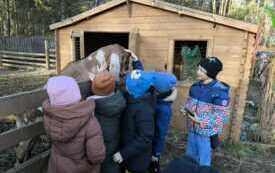 76b3cb68-4947-4a66-ab52-449f23dce328