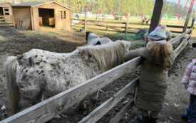 b8944a5c-628e-48d3-97c2-db49a7421e6f