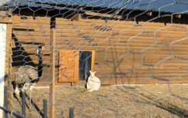 48dd6044-9171-4430-9b79-9c98cc13e8e9