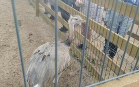 8626e9df-b1d3-4bf2-bf5e-7efbfc9b3844