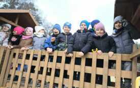 fb7c662b-7391-494f-a83e-f5cda1f52823