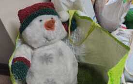 IMG-20251208-WA0046