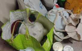 IMG-20251208-WA0042
