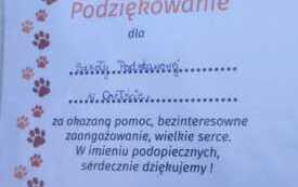IMG-20251208-WA0047