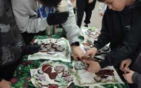IMG-20251208-WA0032
